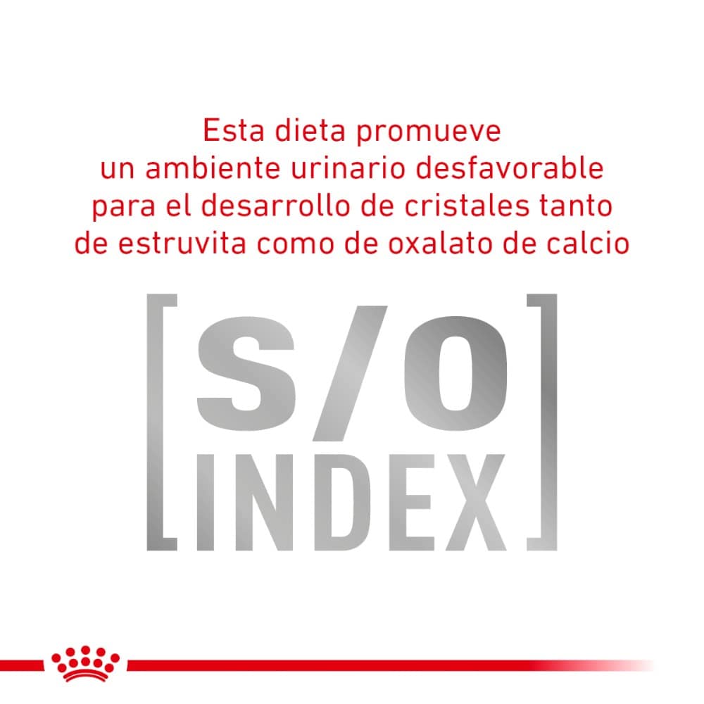Royal Canin Vet Gato Glycobalance 2 Kg. - AniMALL