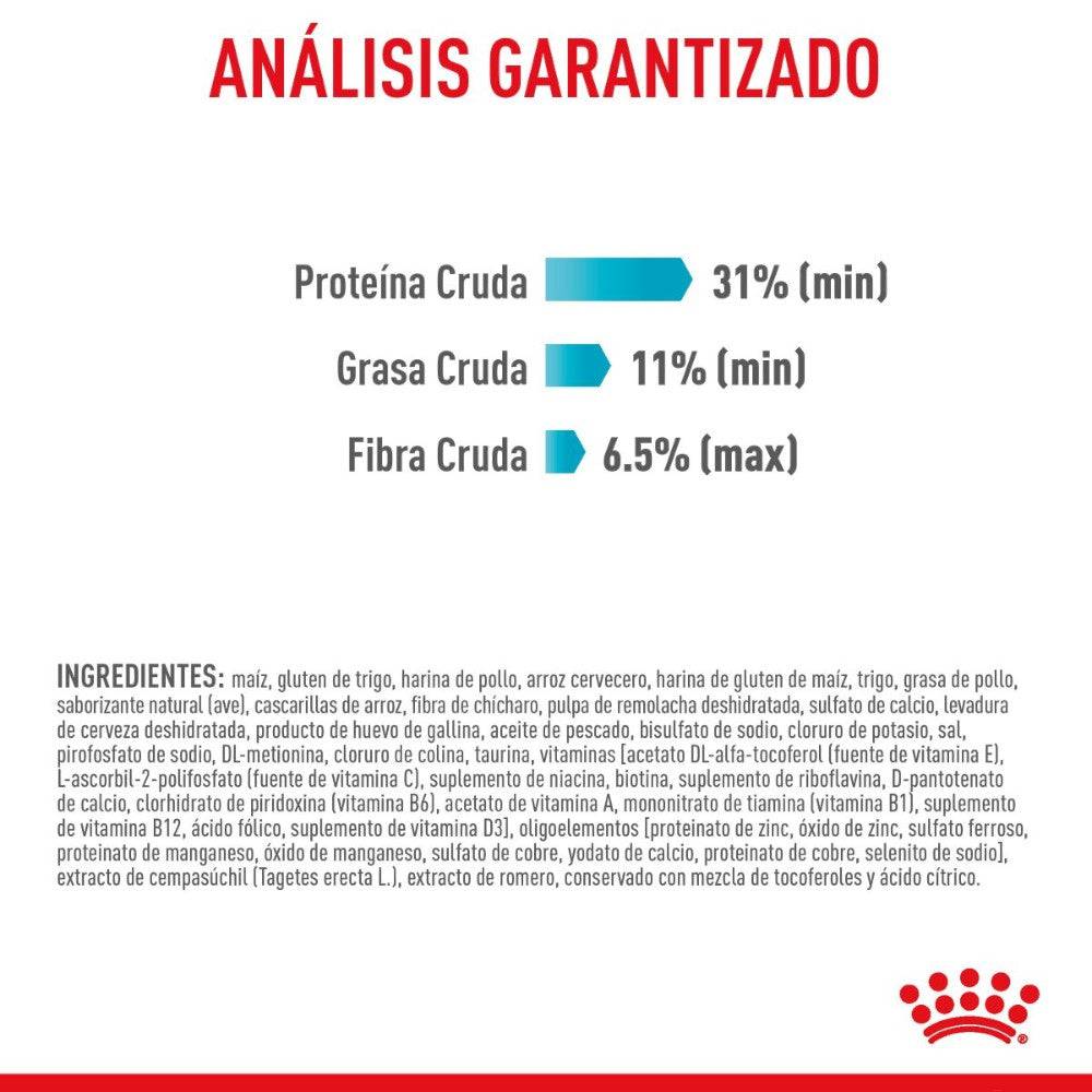 Royal Canin Gato Adulto Urinary Care 2.7 kg - AniMALL