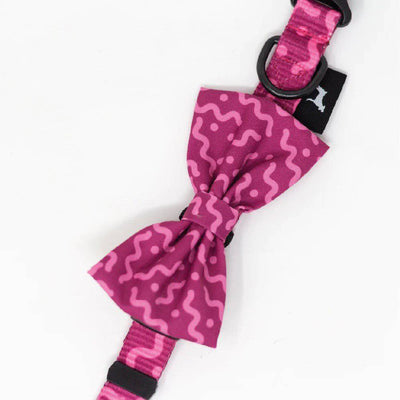 Collar con moño spaguetti Fucsia Talla S - AniMALL