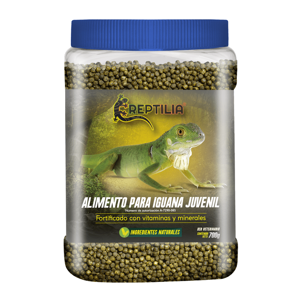 alimento para iguana