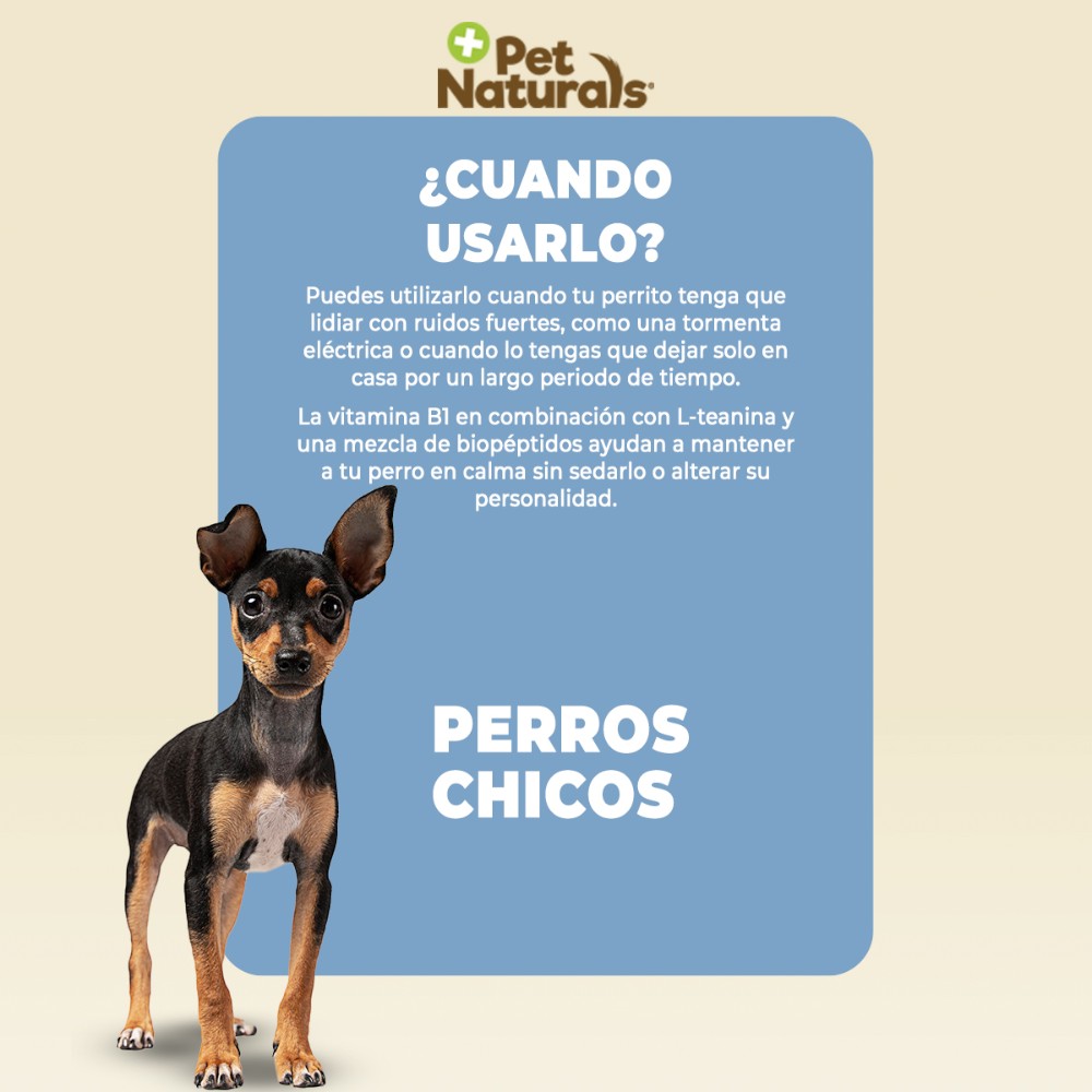 Pet Naturals Calmantes para Perro Raza Chica, Sin Sedantes. Sabor a Premio 21 pz