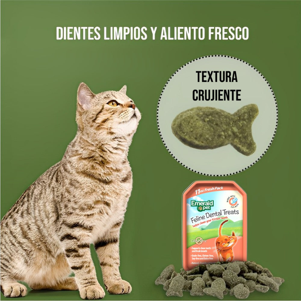 Premios Dentales para Gato Sabor Salmón, Dientes Limpios, Fresh Pack 312gr