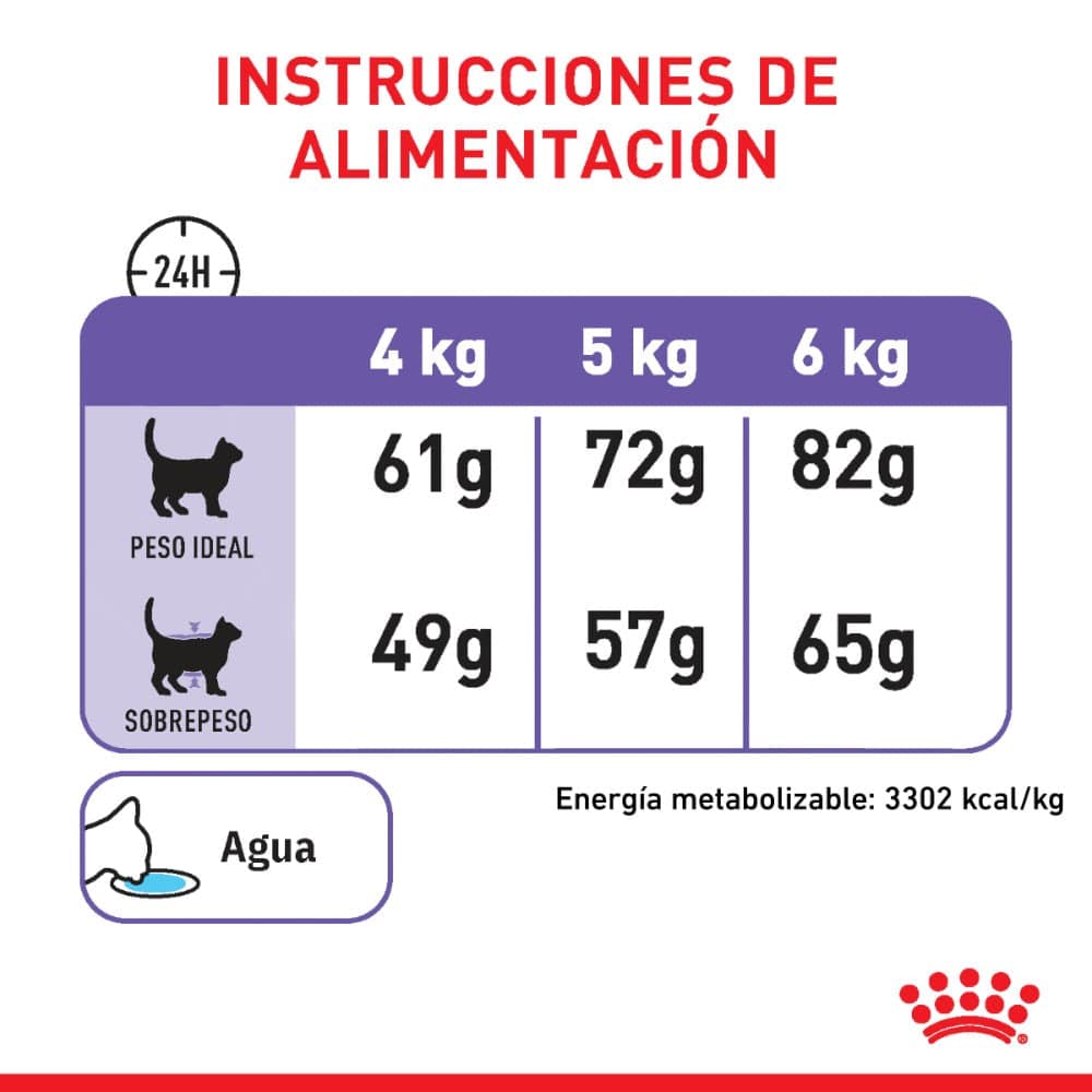 Royal Canin Alimento Gato Adulto Appetite Control 2.7 Kg - AniMALL