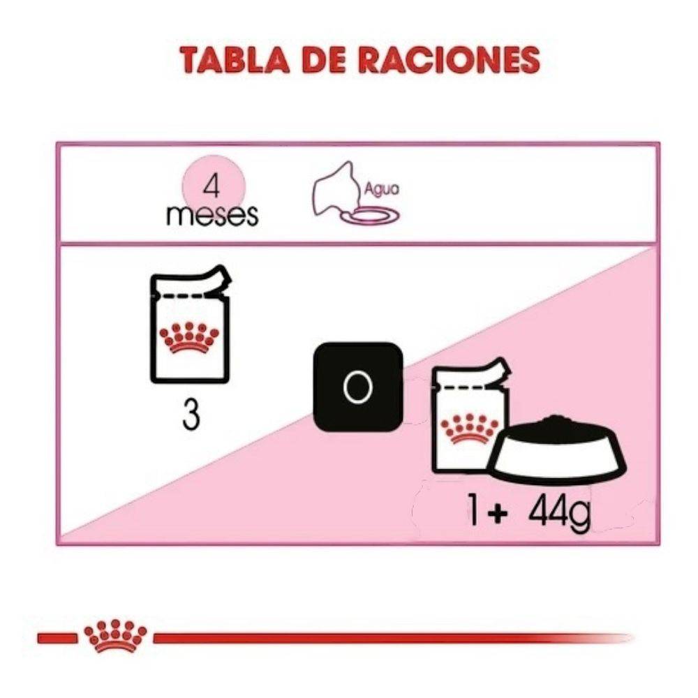 24 latas Royal Canin Kitten Loaf in Sauce sabor Pollo 145 gr - AniMALL