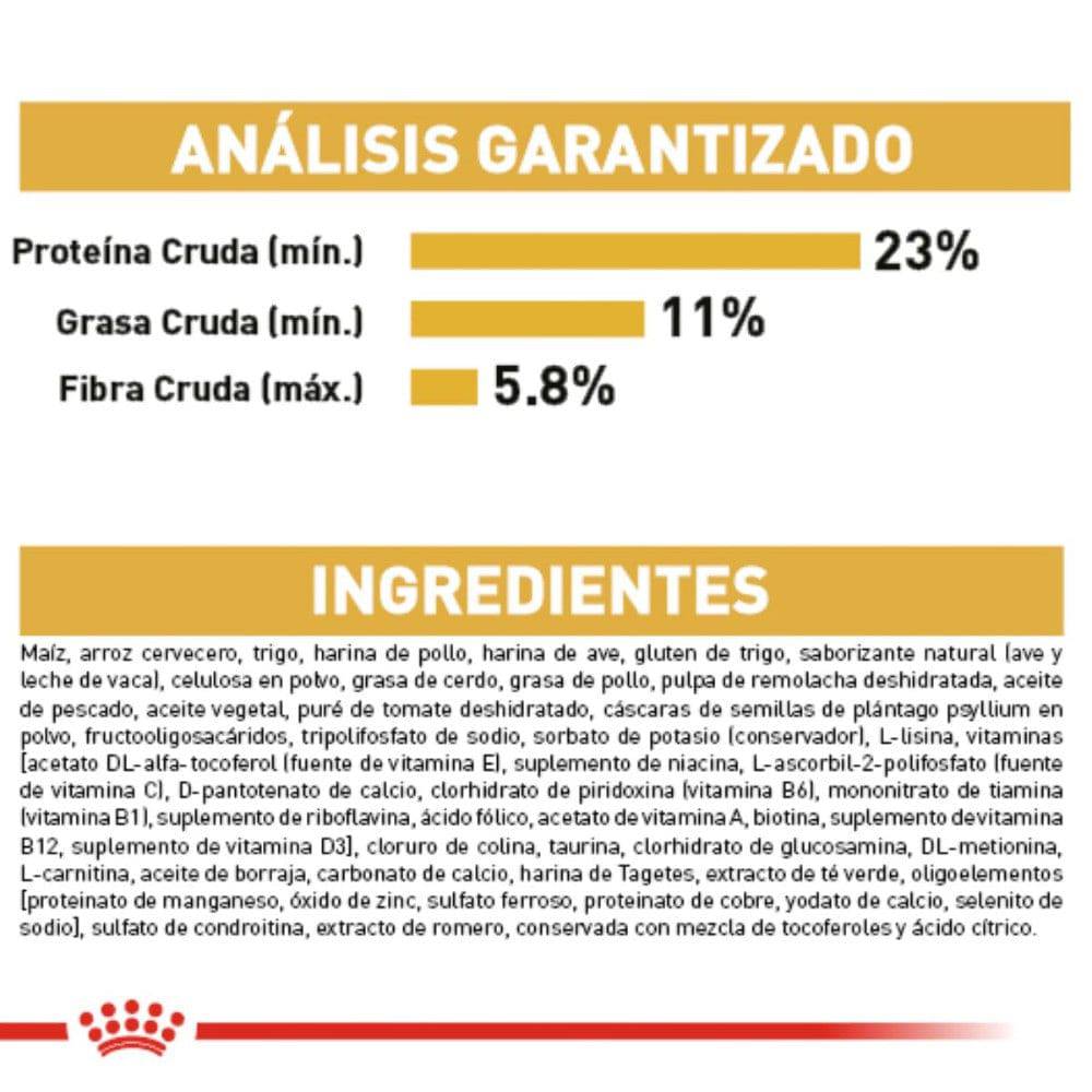 Royal Canin Golden Retriever Adulto 13.6 Kg - AniMALL