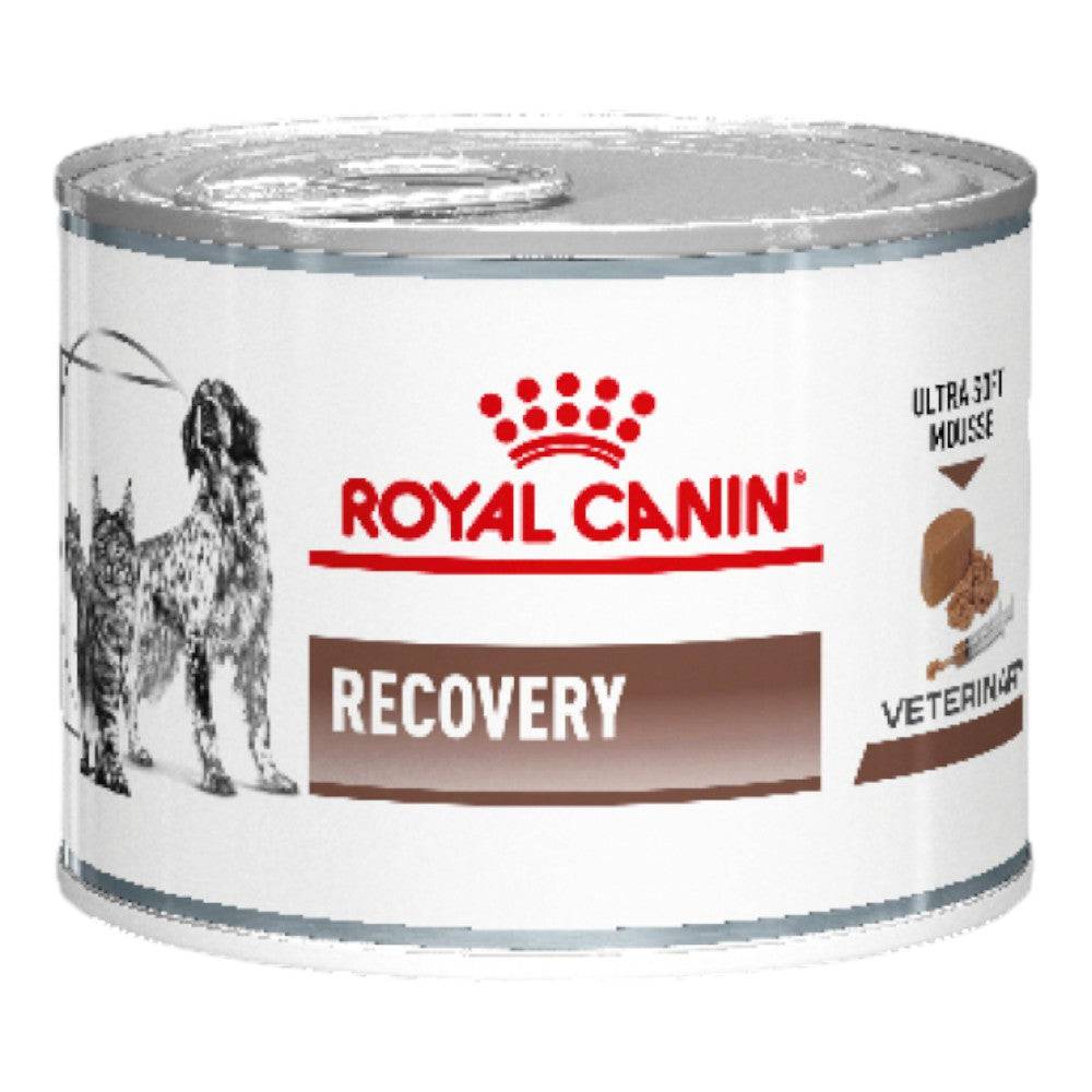 24 Latas Royal Canin Vet Perro y Gato Recovery 145 gr - AniMALL