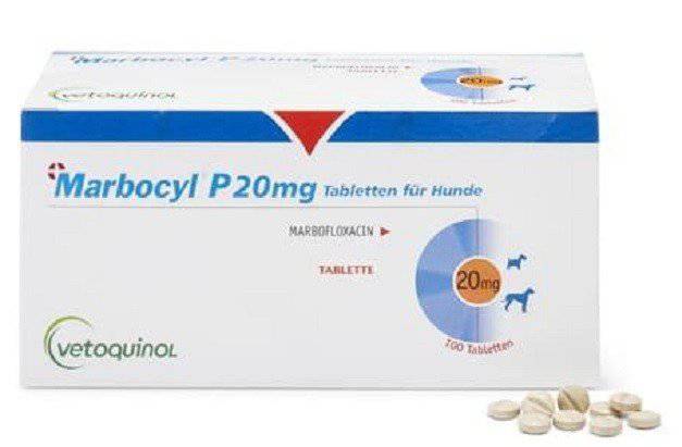 Marbocyl 20 Mg., Marbofloxacina, Blister con 10 Comprimidos, Vetoquinol - AniMALL