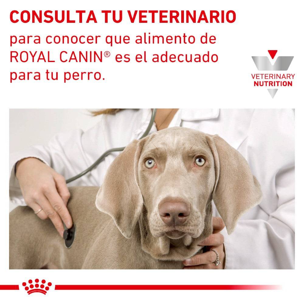 Royal Canin Vet Dental Dry Small Dog 4 kg - AniMALL
