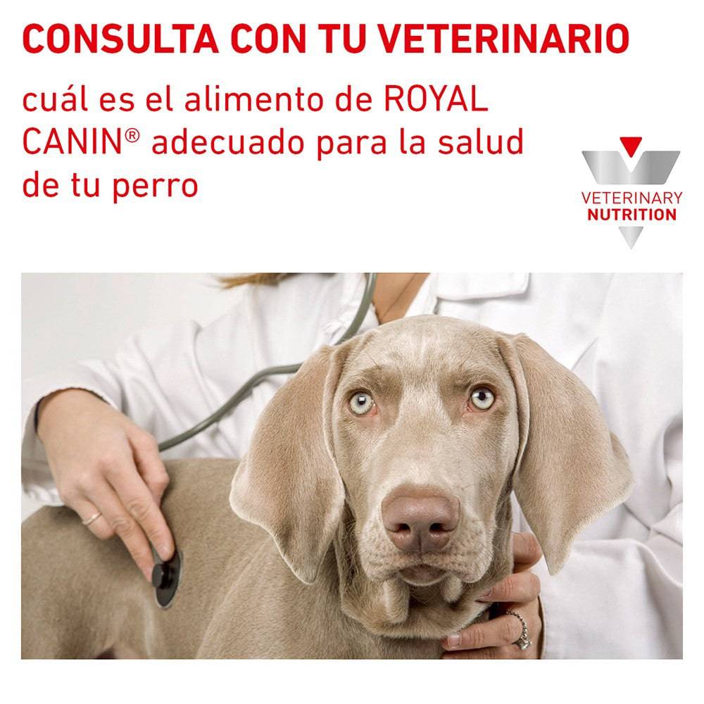 Royal Canin Vet Hydrolyzed Protein Small Dog 4 Kg - AniMALL