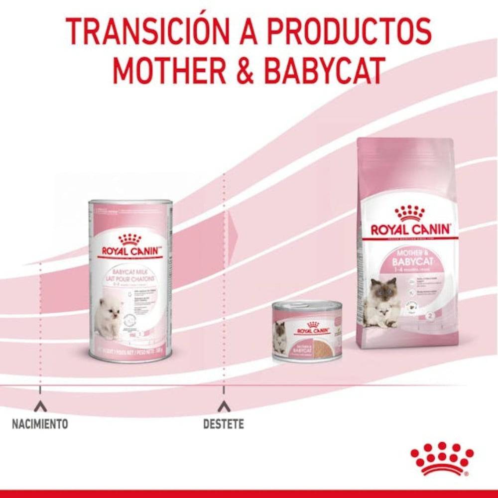Royal Canin Baby Cat Milk 300 gr - AniMALL