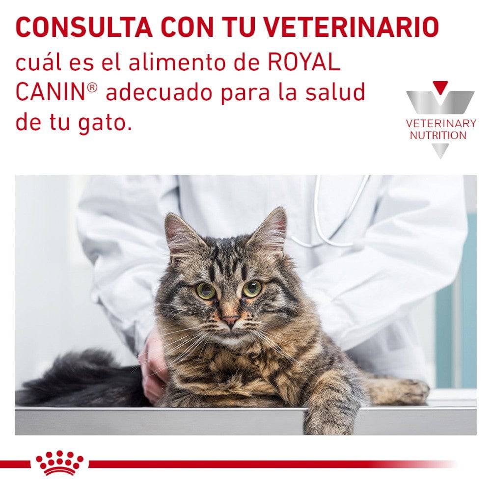 Royal Canin Vet Gato Glycobalance 2 Kg. - AniMALL