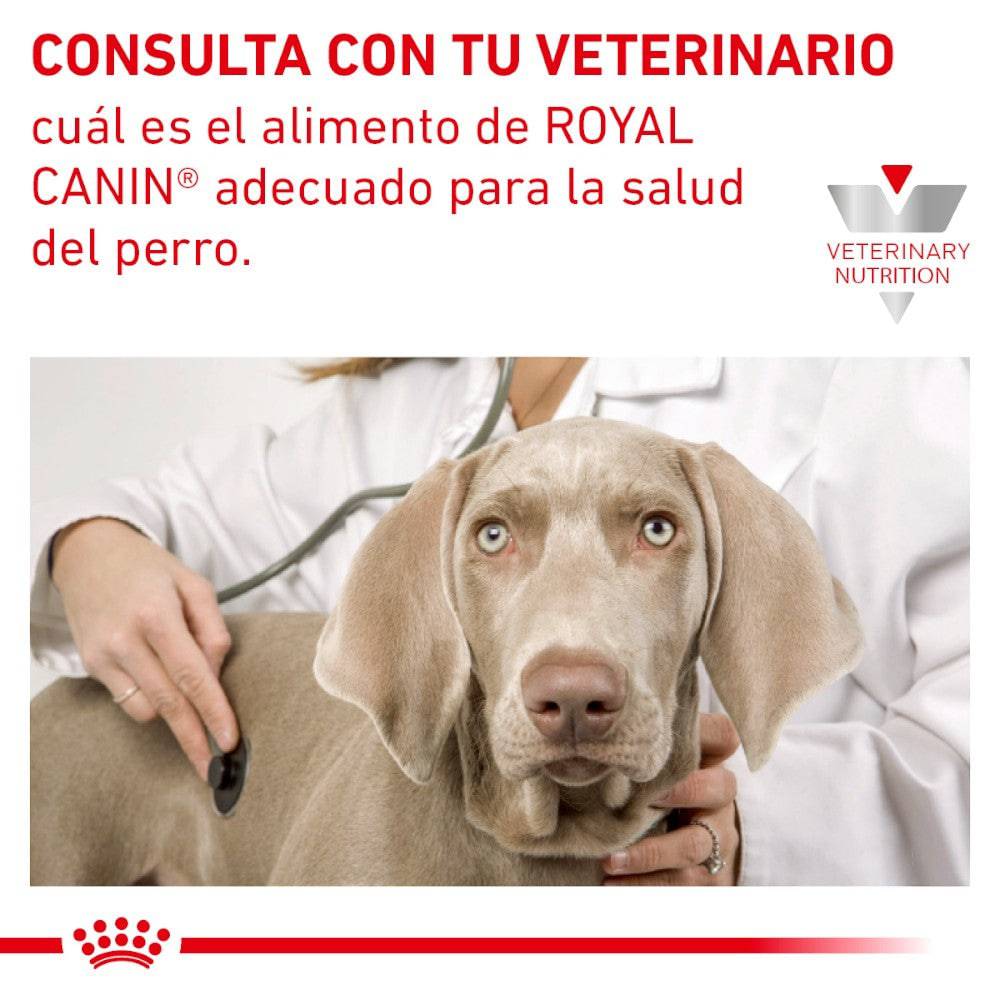 Royal Canin Vet Renal Support S Canine 8 Kg - AniMALL
