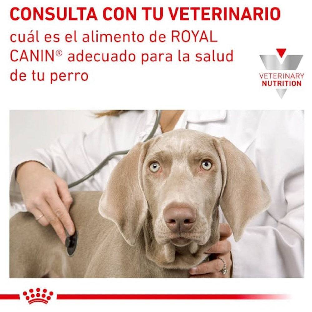 12 Latas Royal Canin Vet Urinary SO 385 gr - AniMALL