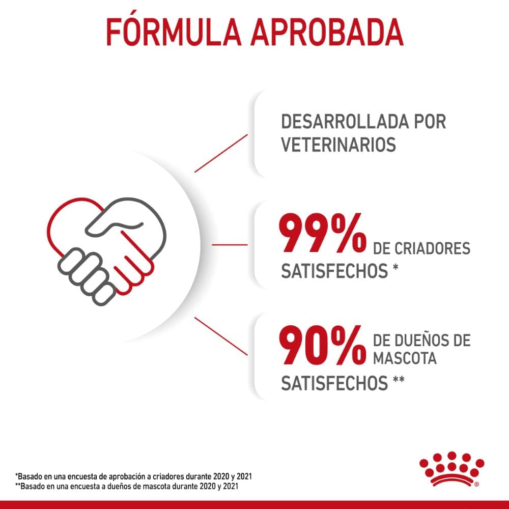 Royal Canin Gato Kitten 341 gr - AniMALL