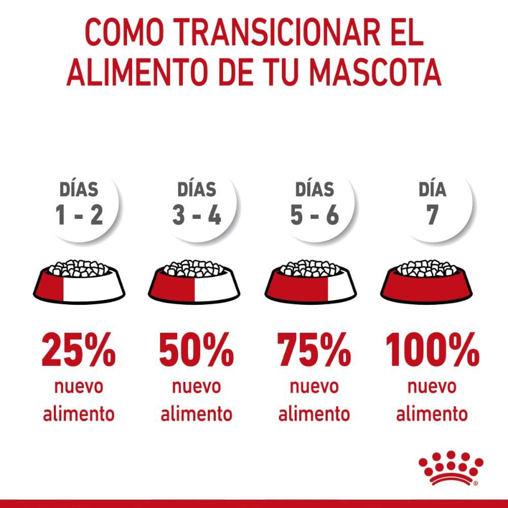 Royal Canin Alimento Seco Perro Puppy Small 341 gr - AniMALL