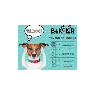 B and Kolor Collar Artesanal Menta Piel para Perro Extra Chico