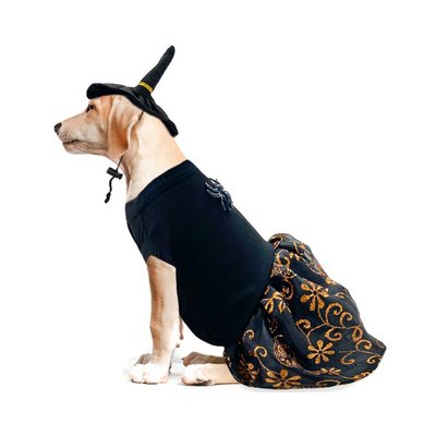 CATM Disfraz de Bruja Color Negro con Diseño de Flores Naranja para Mascota Talla 4