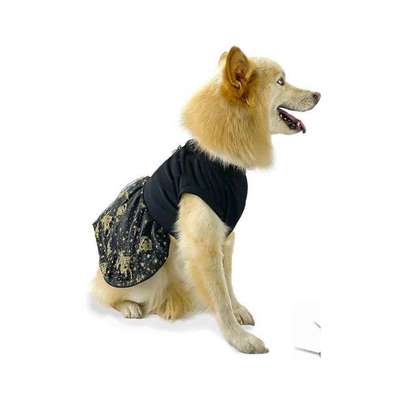 CATM Disfraz de Bruja Color Negro con Dorado para Mascota Talla 4