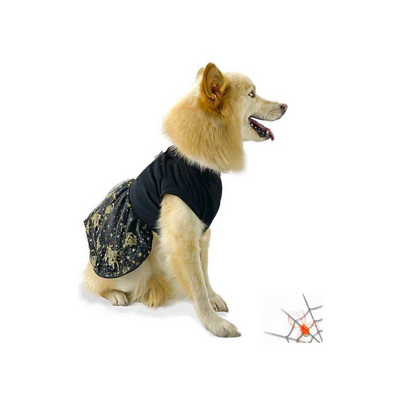 CATM Disfraz de Bruja Color Negro con Dorado para Mascota Talla 6