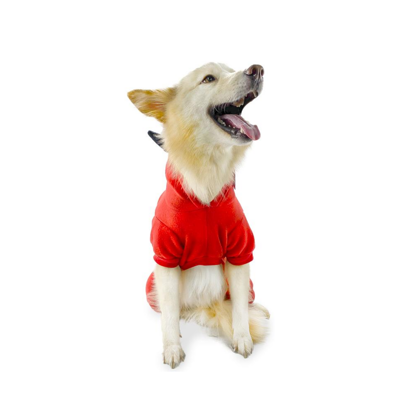 CATM Disfraz de Diablo Macho para Mascota Talla 4