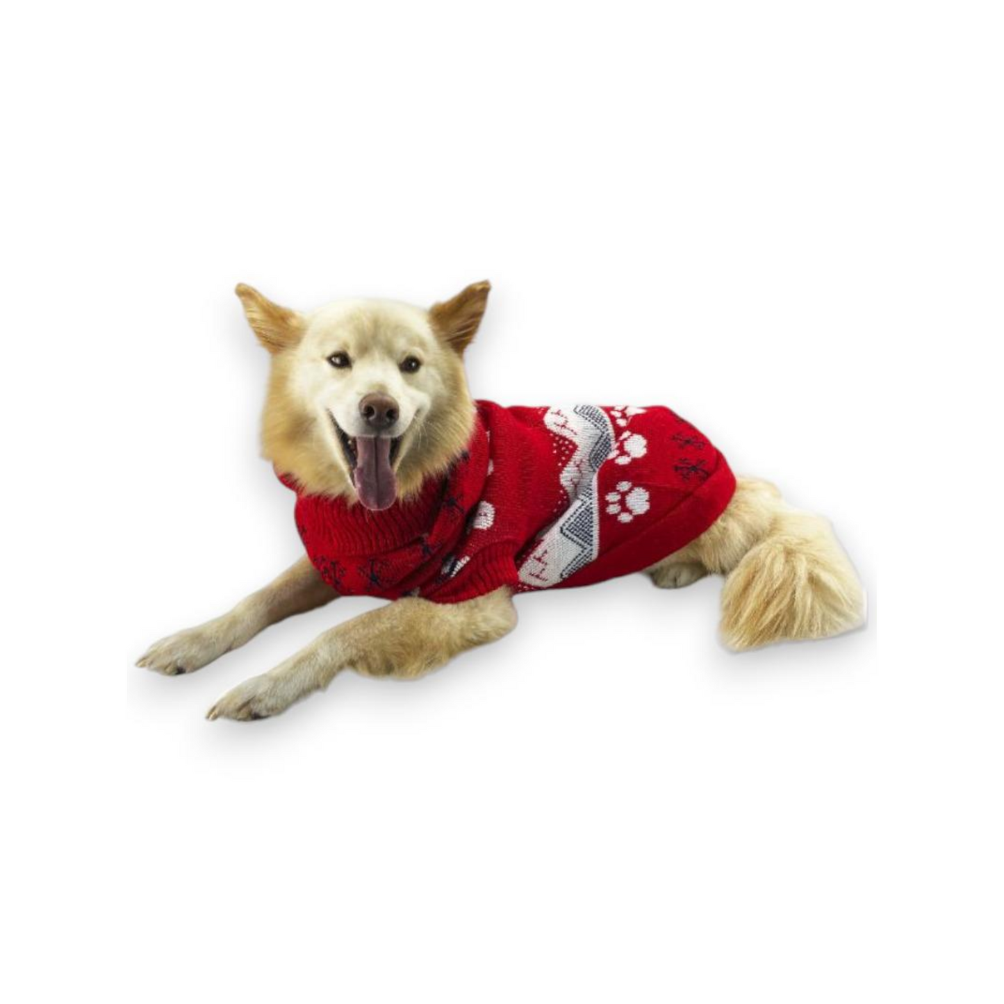 Suéter Navideño Perro