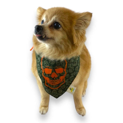 Bandanas para perros