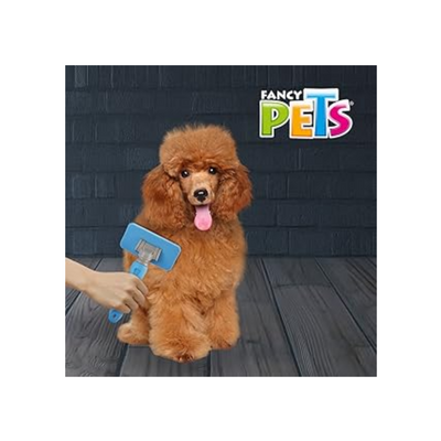 Carda Mediana, Fancy Pets