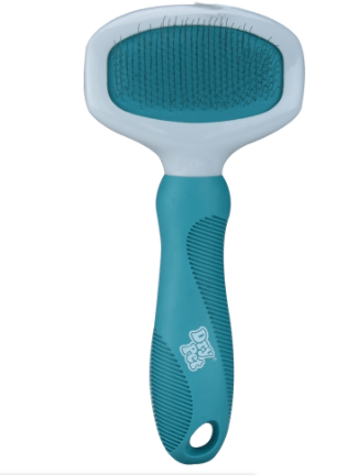 carda Para Perro Chico