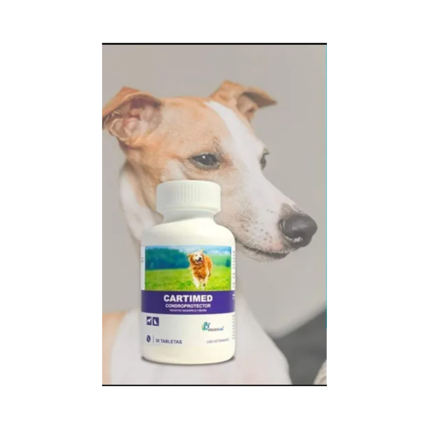 Cartimed Condroprotector Frasco 30 Tabletas MederiLab