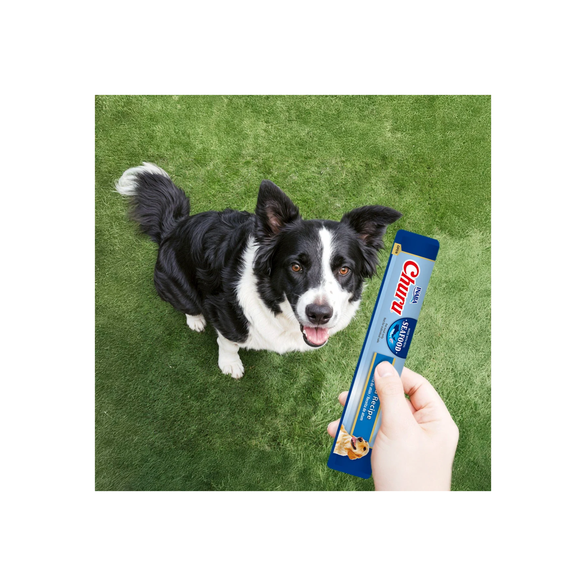 Churu para Perros de Atún – Bolsa de 4 Tubos de 14 g