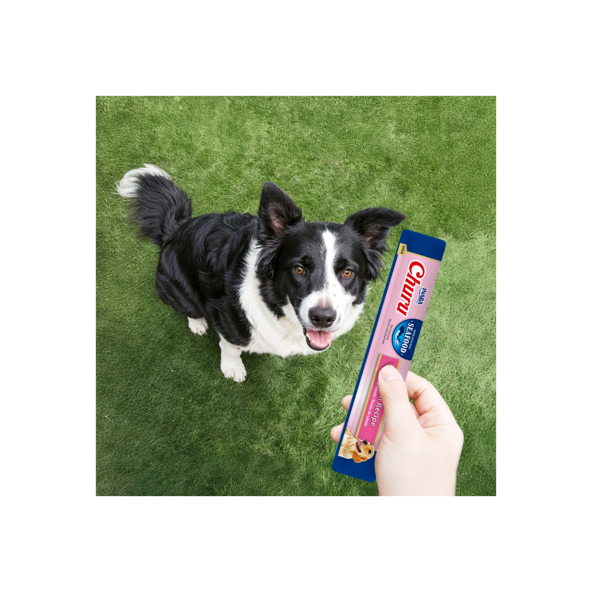 Churu para Perros de Salmón – Bolsa de 4 Tubos de 14 g