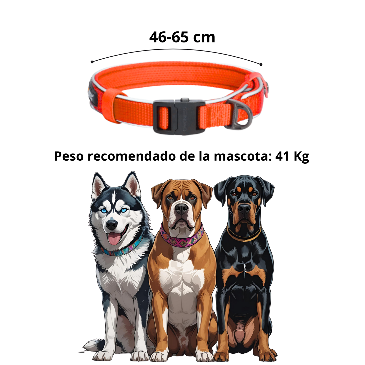Dogness Collar Reflectivo Color Rojo Para Perro Talla L