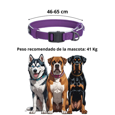 Dogness Collar Reflectivo Color Morado Para Perro Talla L