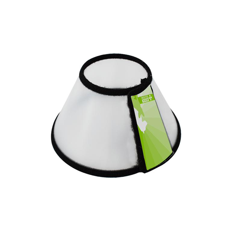 Collar Isabelino Gato