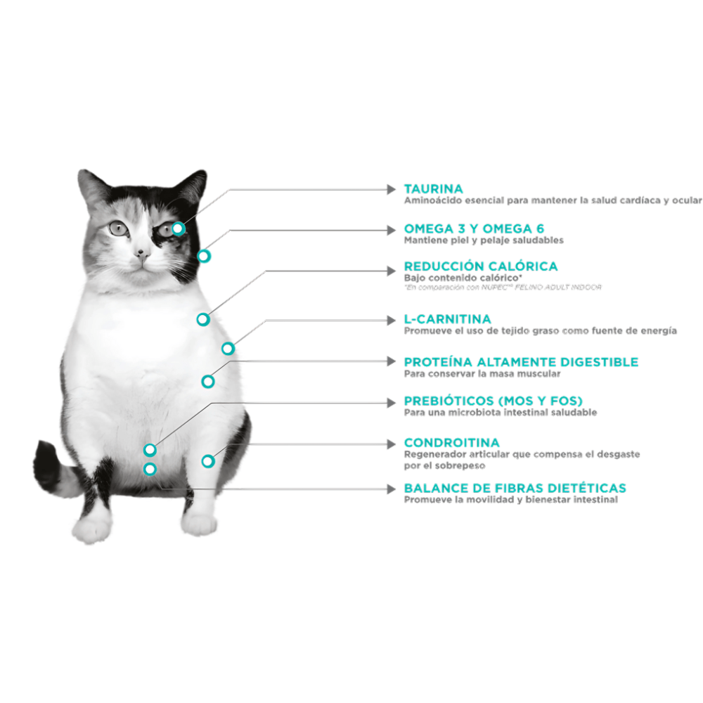 Nupec Felino Weight Care 3 Kg - AniMALL