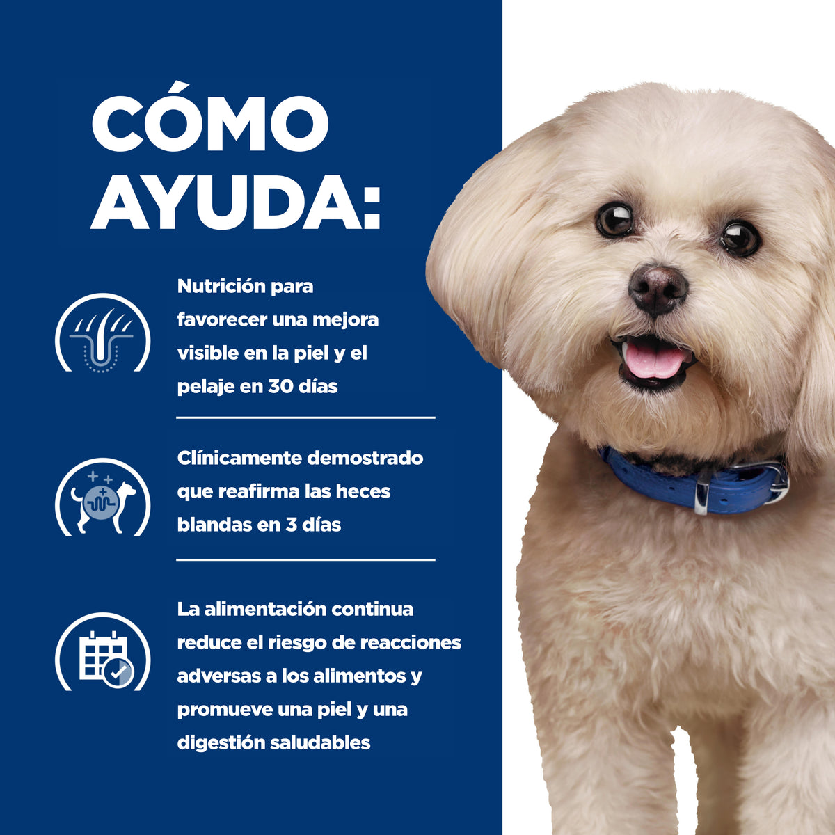 Hill's Prescription Diet z/d Small Bites, Sensibilidades Alimentarias, para Perro, 1.5 Kg