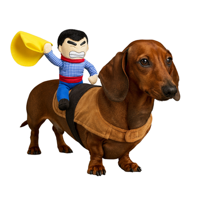 Disfraz Jinete Vaquero Halloween S