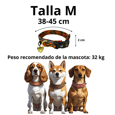Dogness Collar de Flamas para Perro Talla M