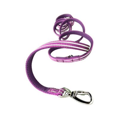 Dogness Correa Multifuncional Color Morado para Perro Talla S