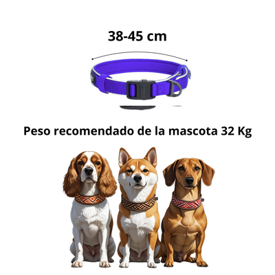 Dogness Collar Reflectivo Color Azul Para Perro Talla S