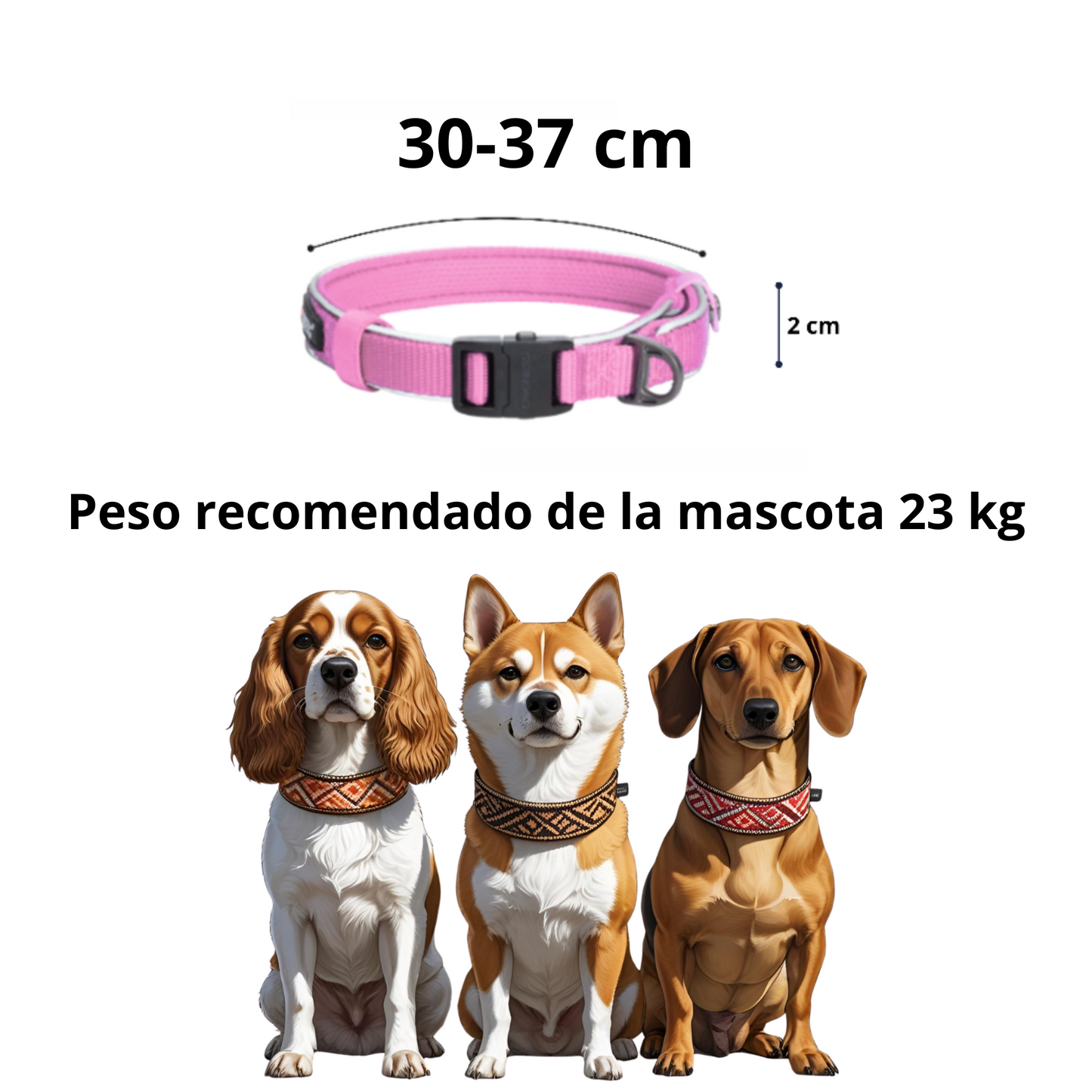 Dogness Collar Reflectivo Color Rosa Para Perro Talla S