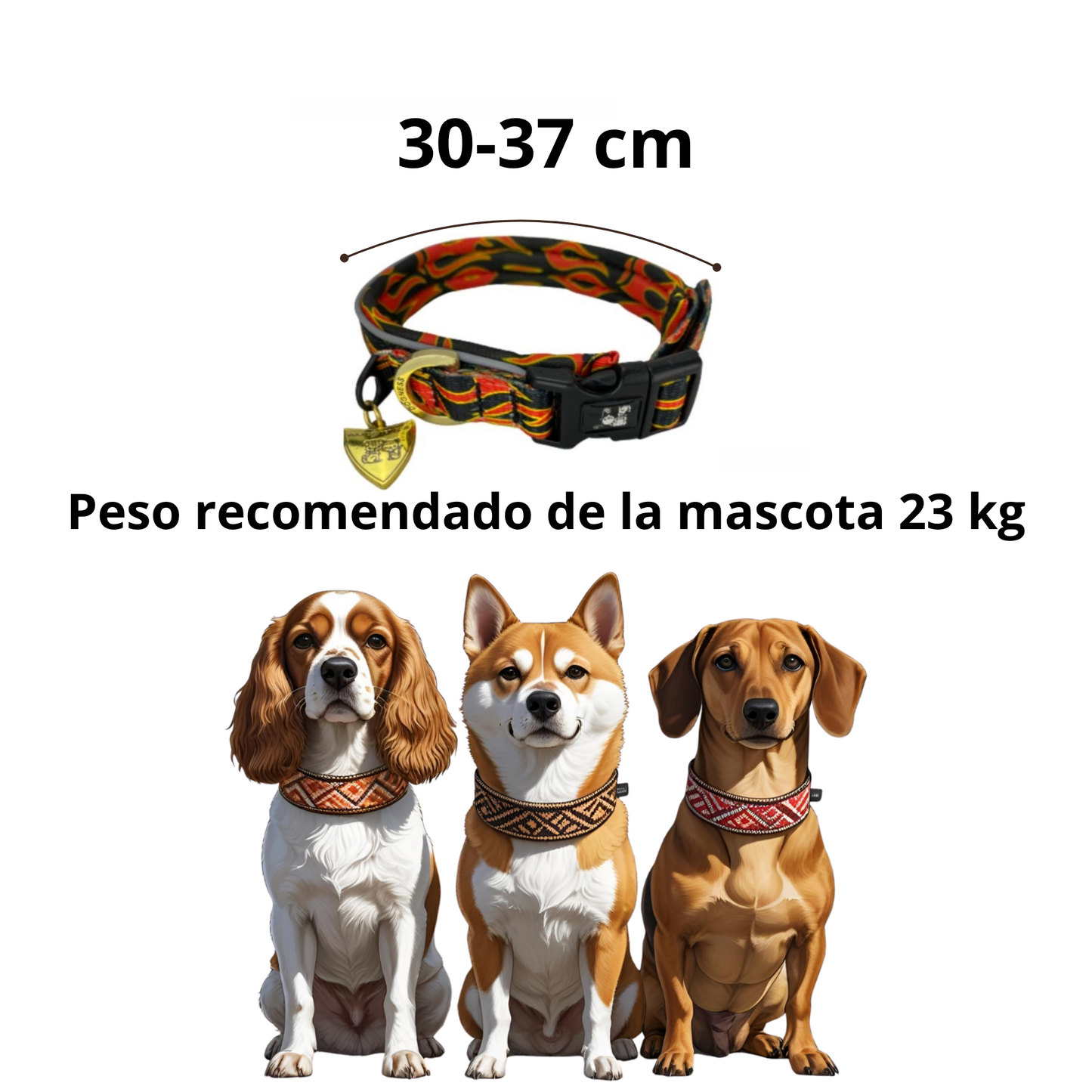 Dogness Collar de Flamas para Perro Talla S