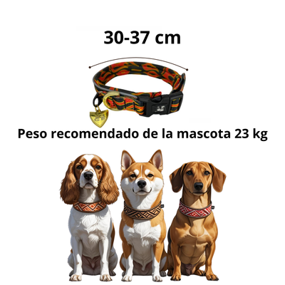 Dogness Collar de Flamas para Perro Talla S