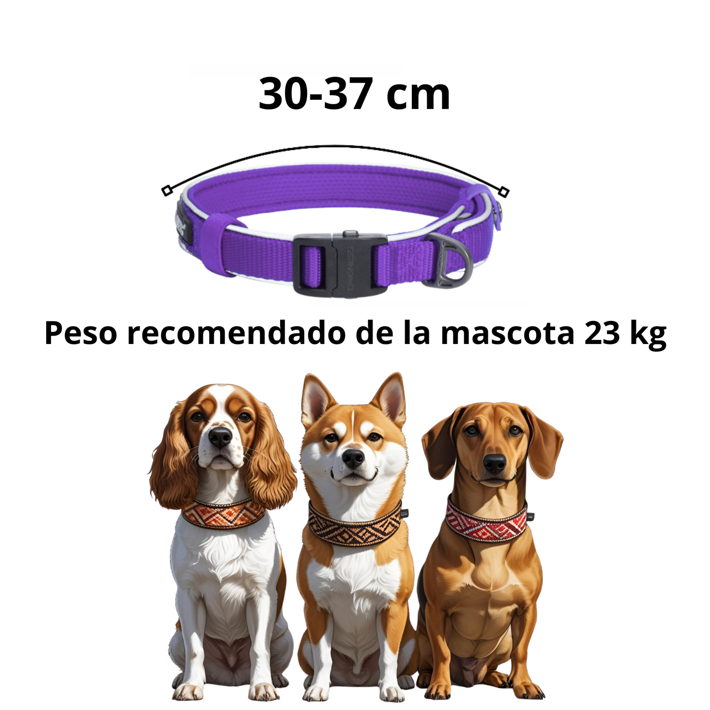 Dogness Collar Reflectivo Color Morado Para Perro Talla S