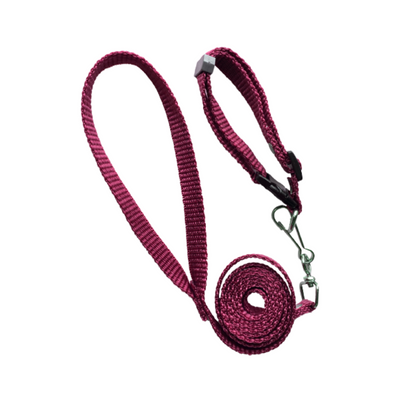 Elite Correa con Collar Simple Liso Talla Chico Color Rojo