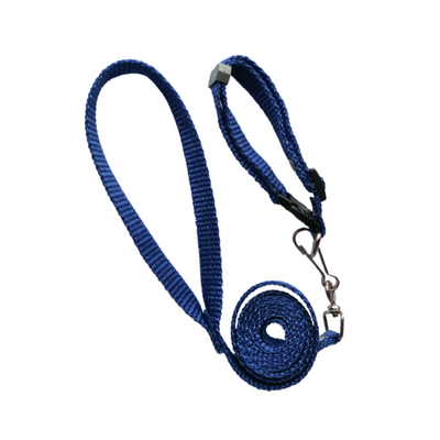 Elite Correa con Collar Simple Liso Talla Chico Color Azul