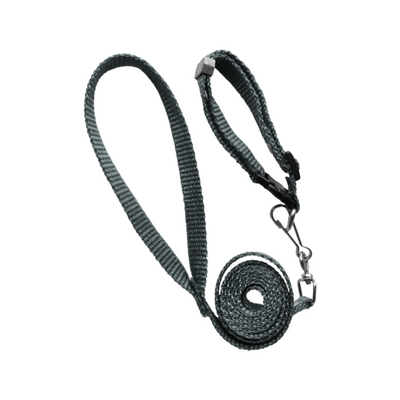 Elite Correa con Collar Simple Liso Talla Chico Color Plata