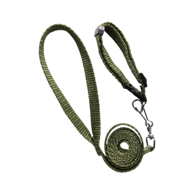 Elite Correa con Collar Simple Liso Talla Chico Color Verde