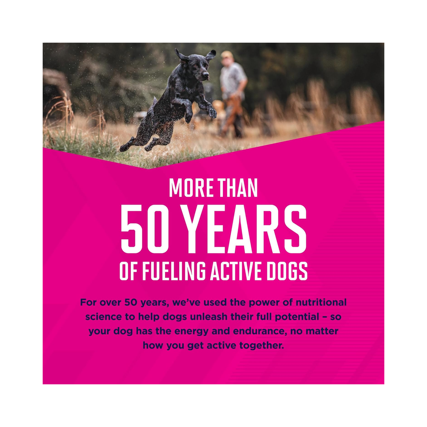 Eukanuba Perro Cachorro Razas Grandes 13.61 Kg.