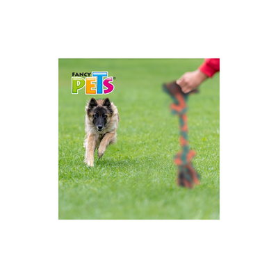 Fancy Pets Juguete de Hueso Mediano de Hilo para Perro